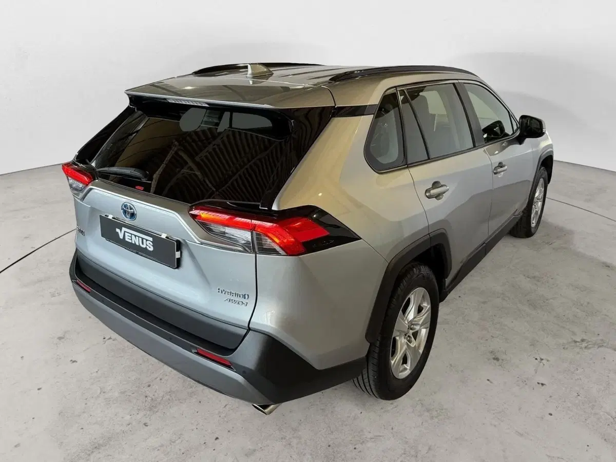 Toyota Rav4 usata a Monza e Brianza (6)
