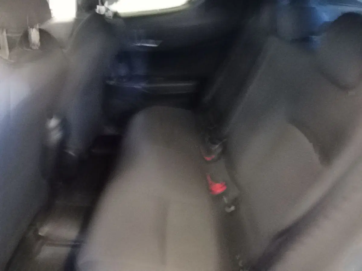 Toyota Toyota C-HR usata a Rimini (18)