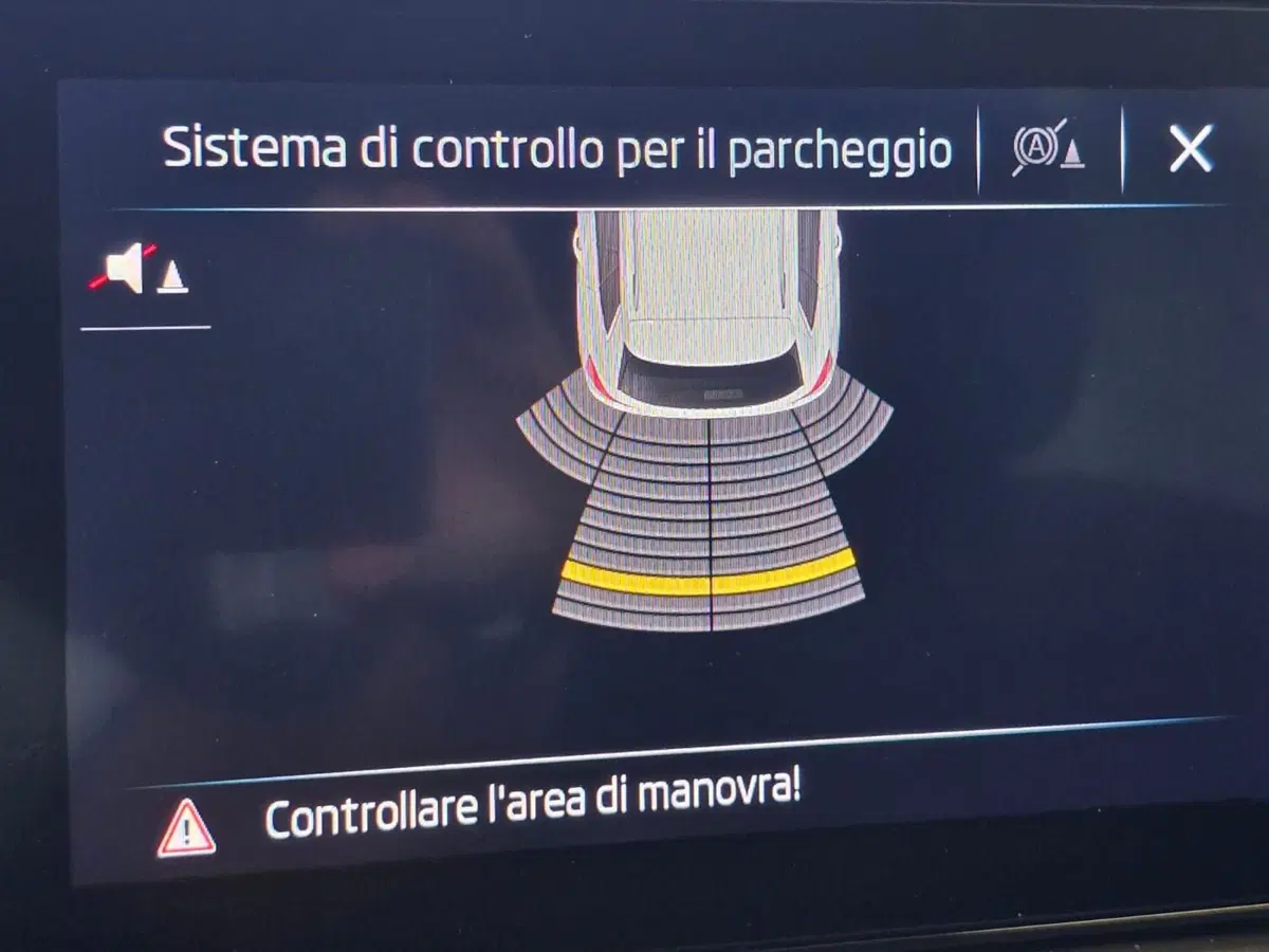Skoda Kamiq usata a Rimini (13)