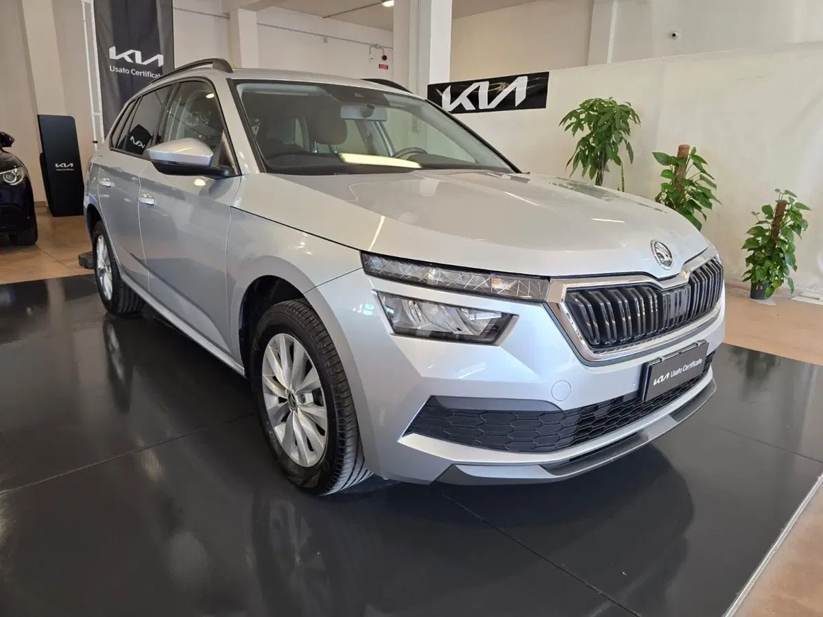 Skoda Kamiq usata a Rimini (3)
