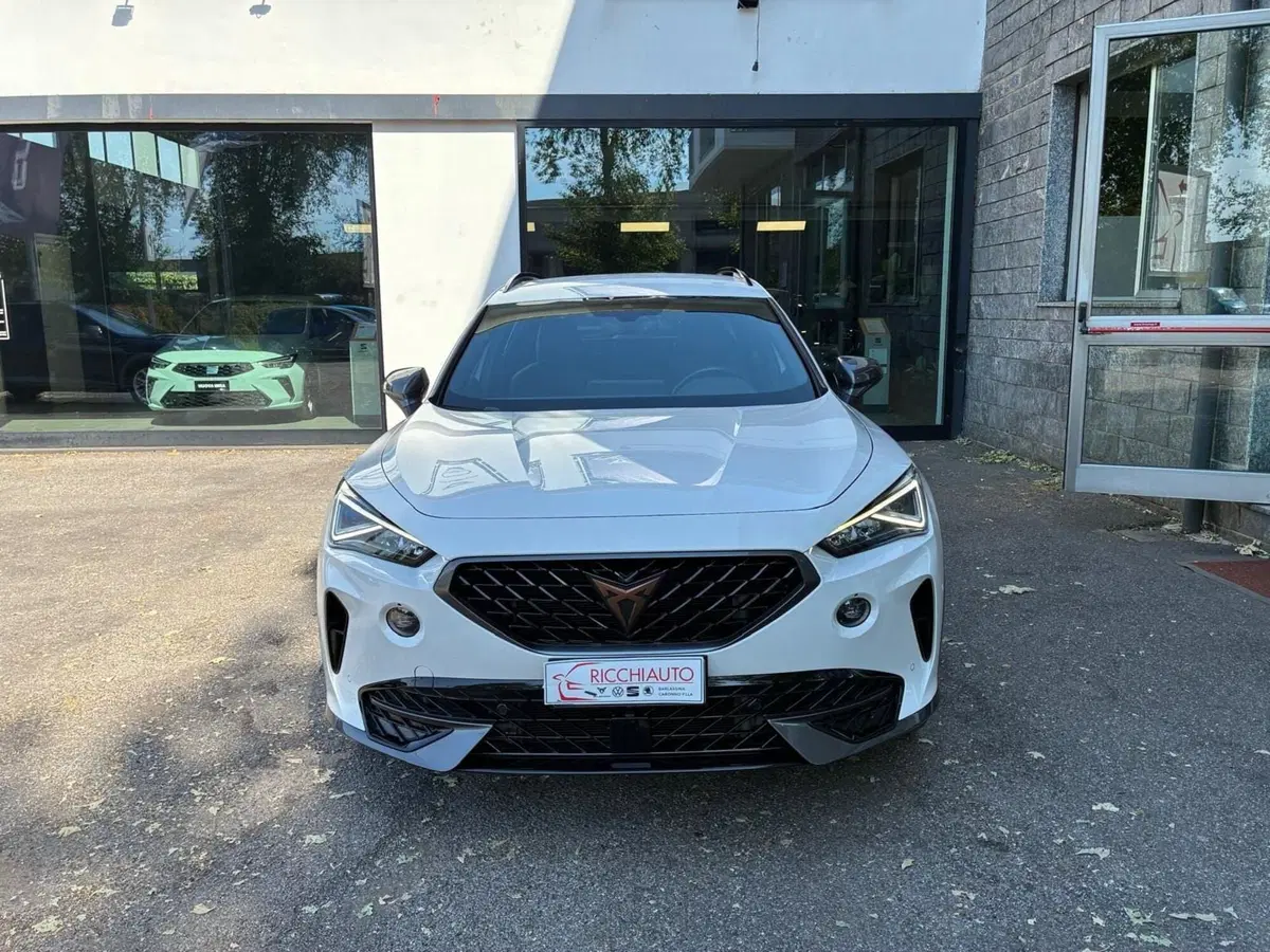 Cupra Formentor usata a Monza e Brianza (3)