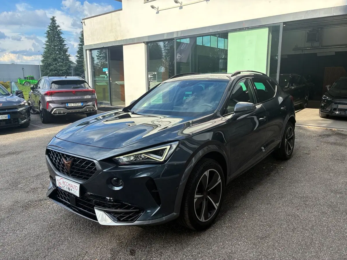 Cupra Formentor usata a Monza e Brianza (2)