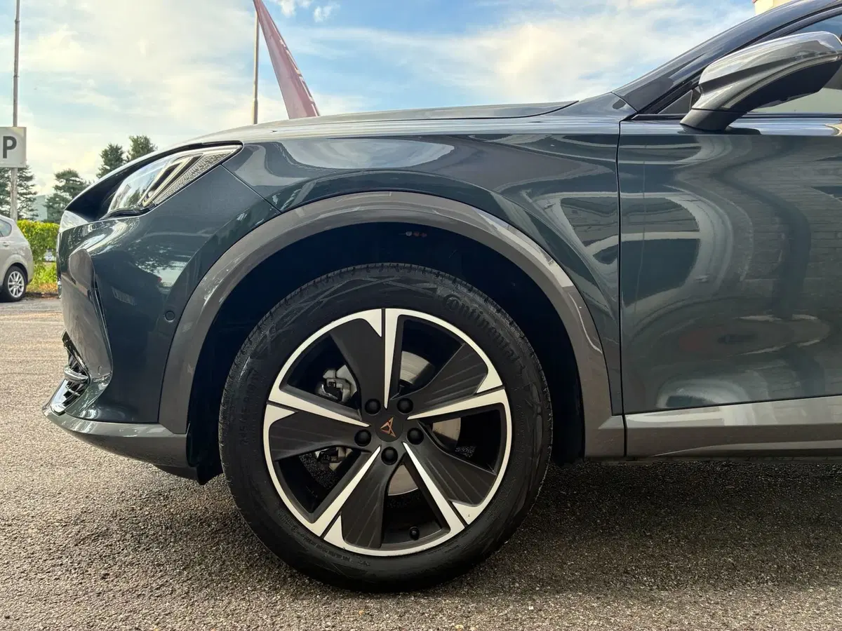 Cupra Formentor usata a Monza e Brianza (7)