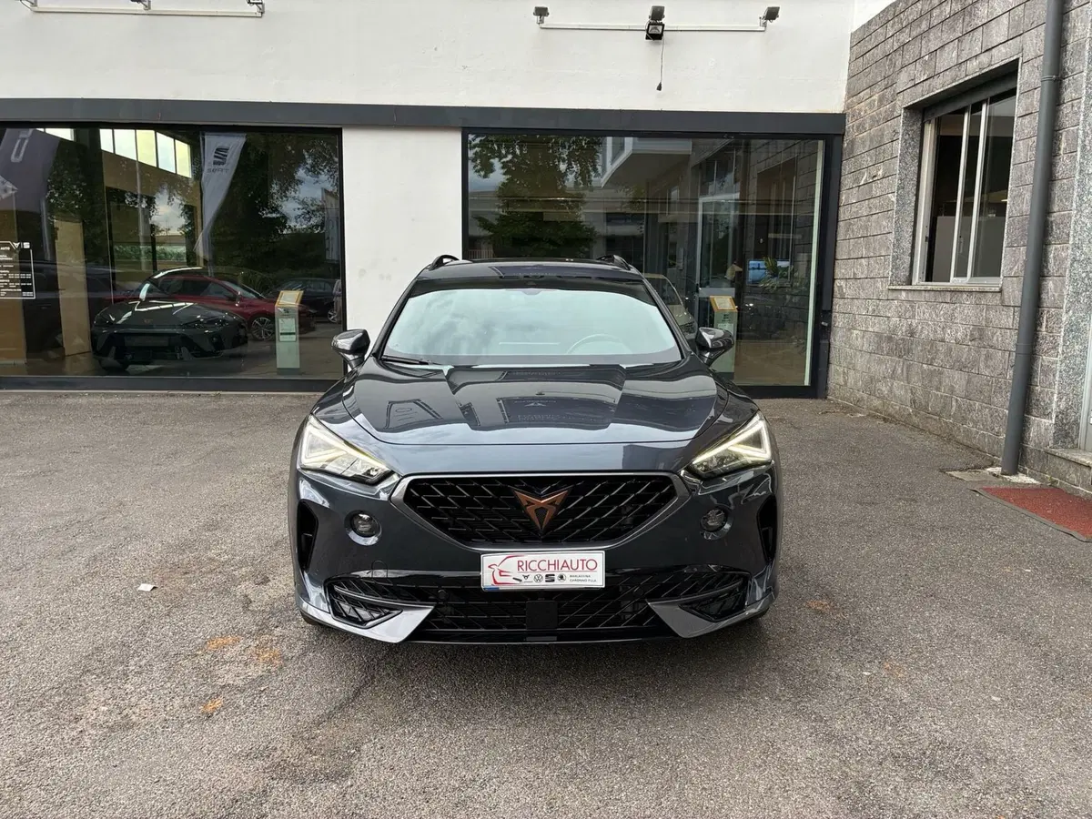 Cupra Formentor usata a Monza e Brianza (3)