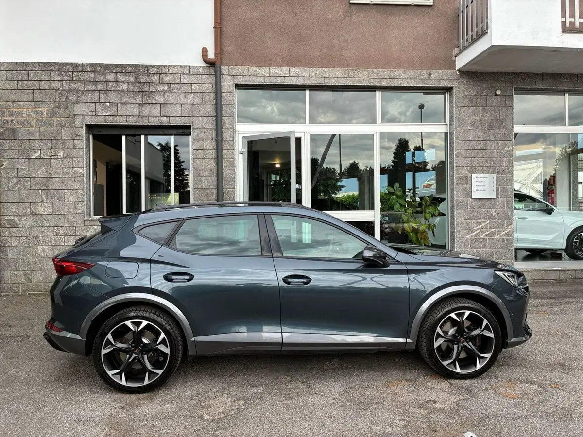 Cupra Formentor usata a Monza e Brianza (6)