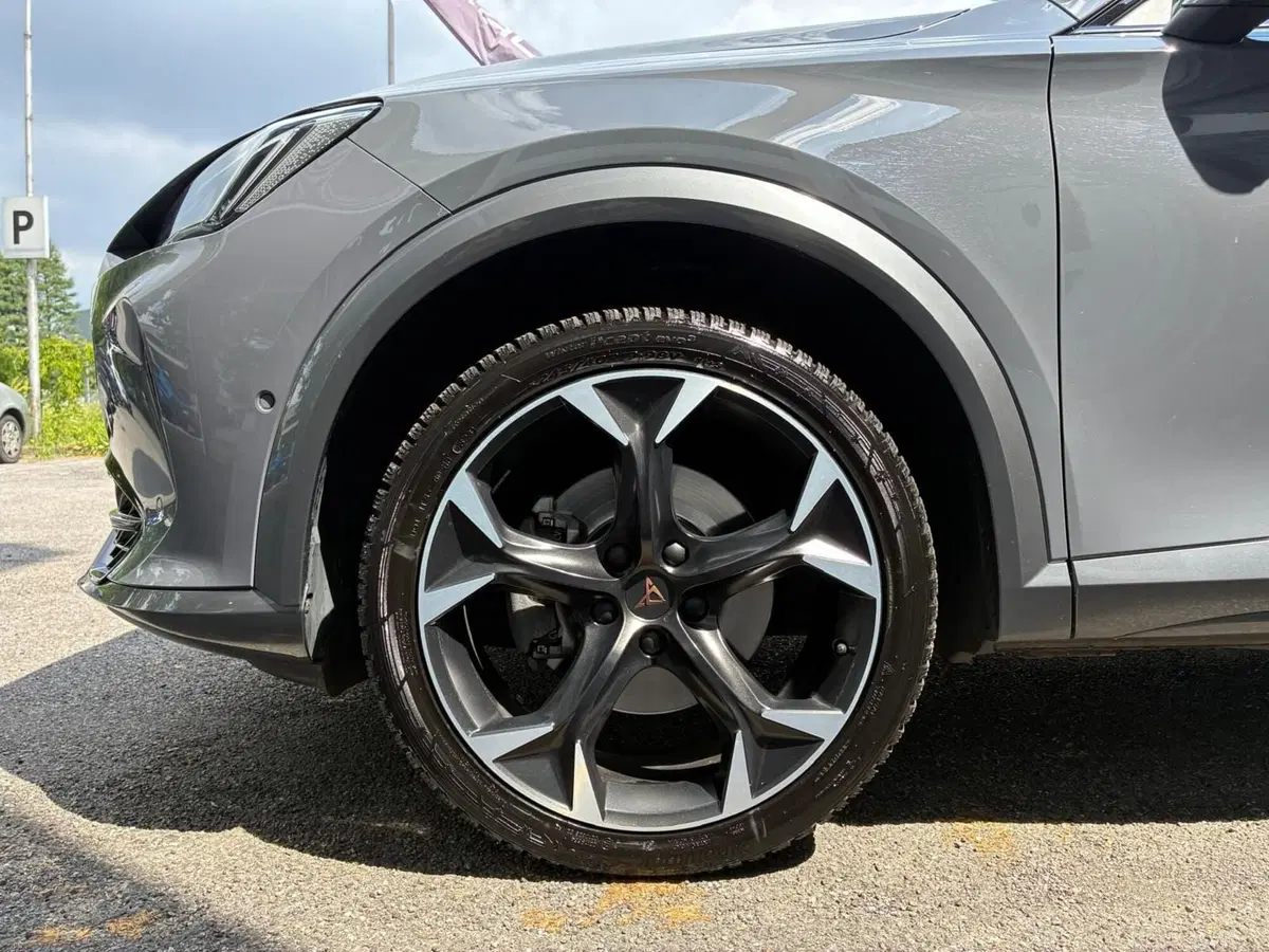 Cupra Formentor usata a Monza e Brianza (7)