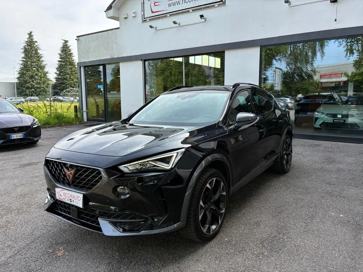 Cupra Formentor usata a Monza e Brianza (2)