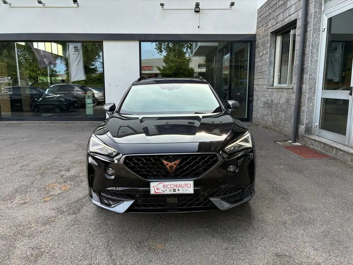 Cupra Formentor usata a Monza e Brianza (6)