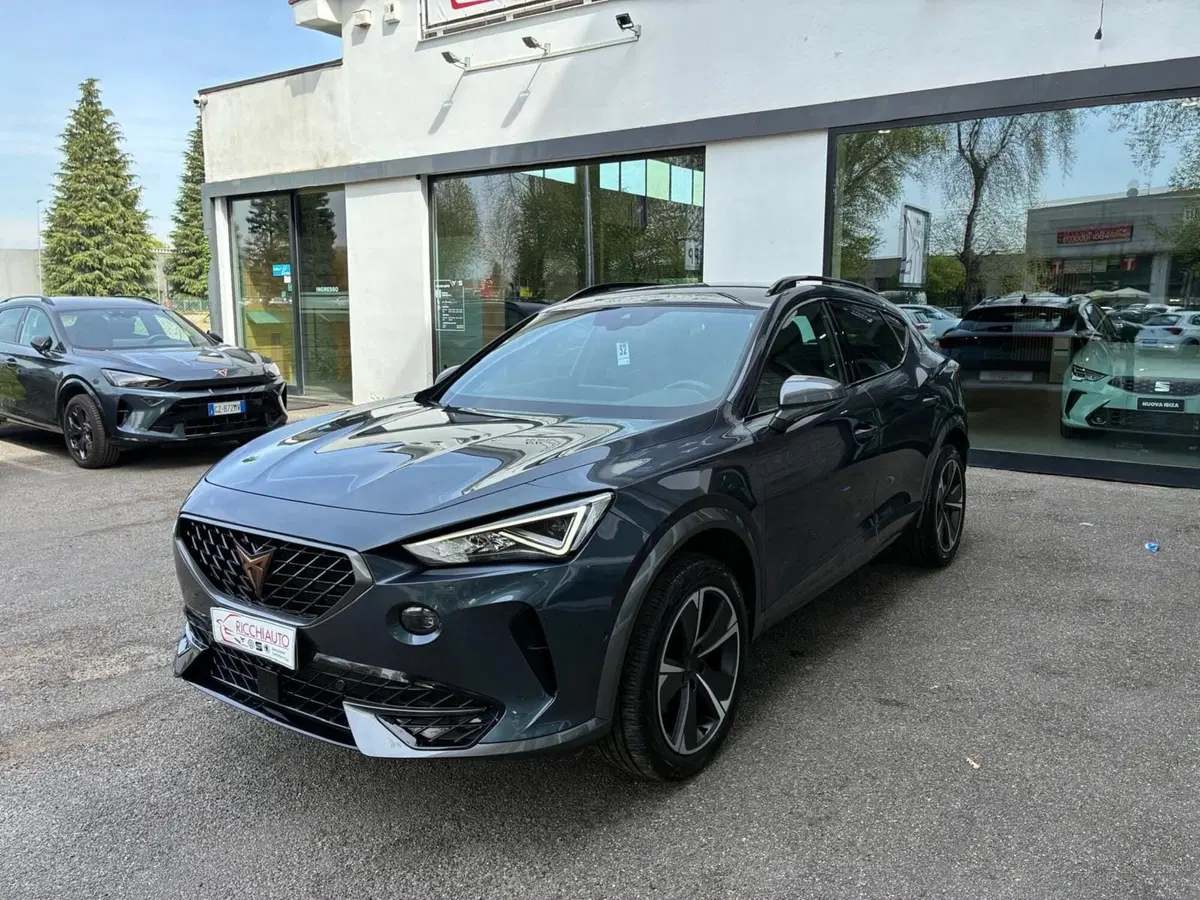Cupra Formentor usata a Monza e Brianza (2)