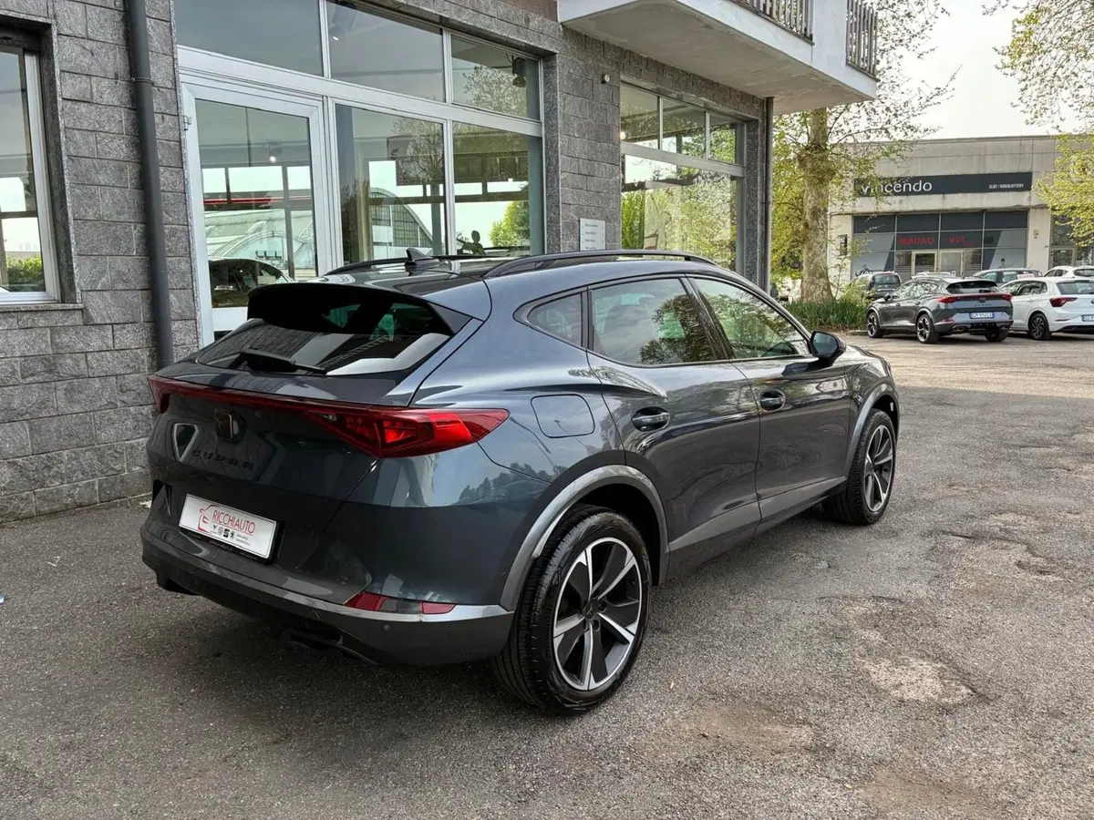 Cupra Formentor usata a Monza e Brianza (3)
