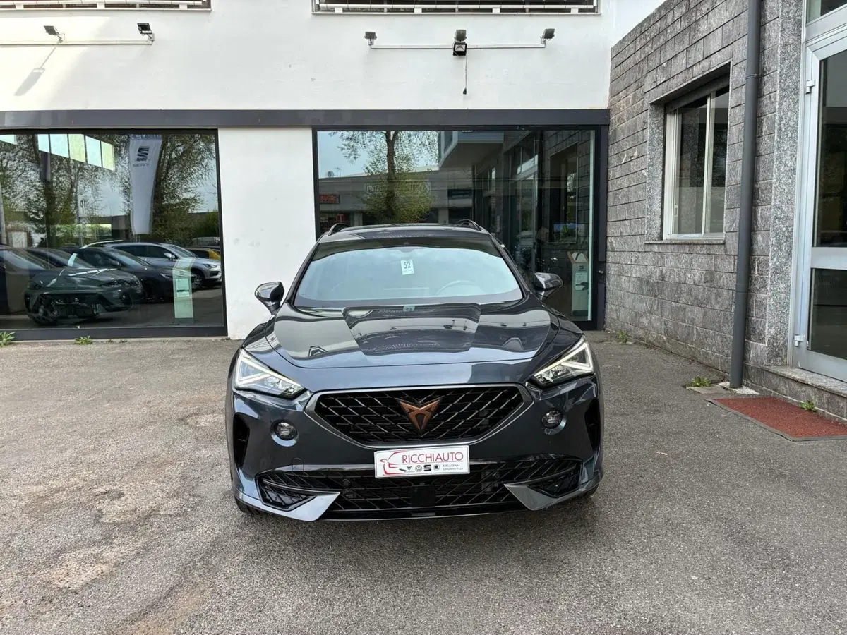 Cupra Formentor usata a Monza e Brianza (5)