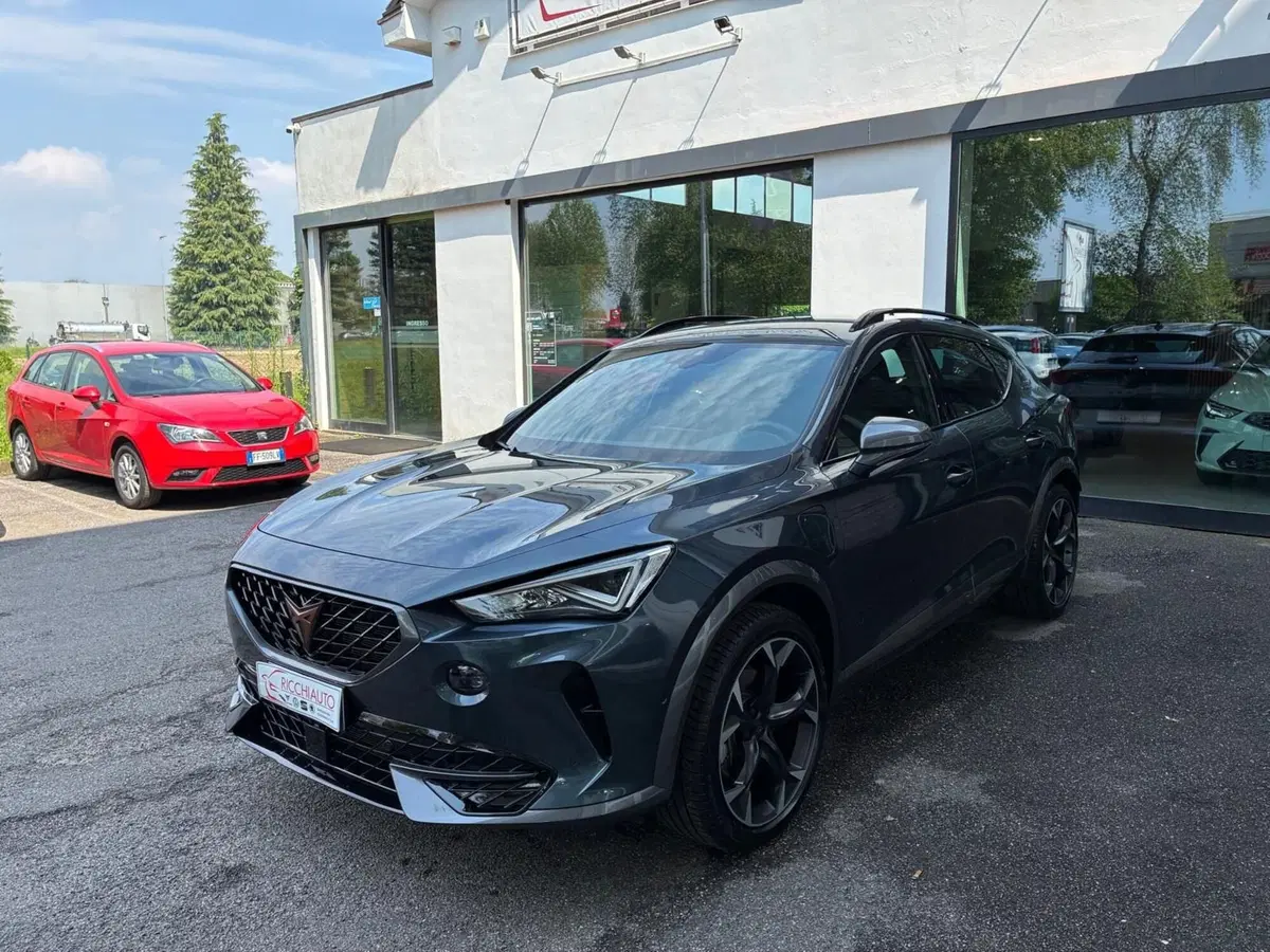 Cupra Formentor usata a Monza e Brianza (2)