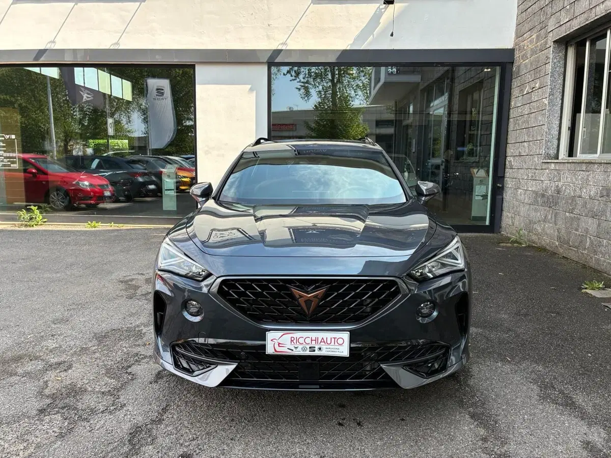 Cupra Formentor usata a Monza e Brianza (4)