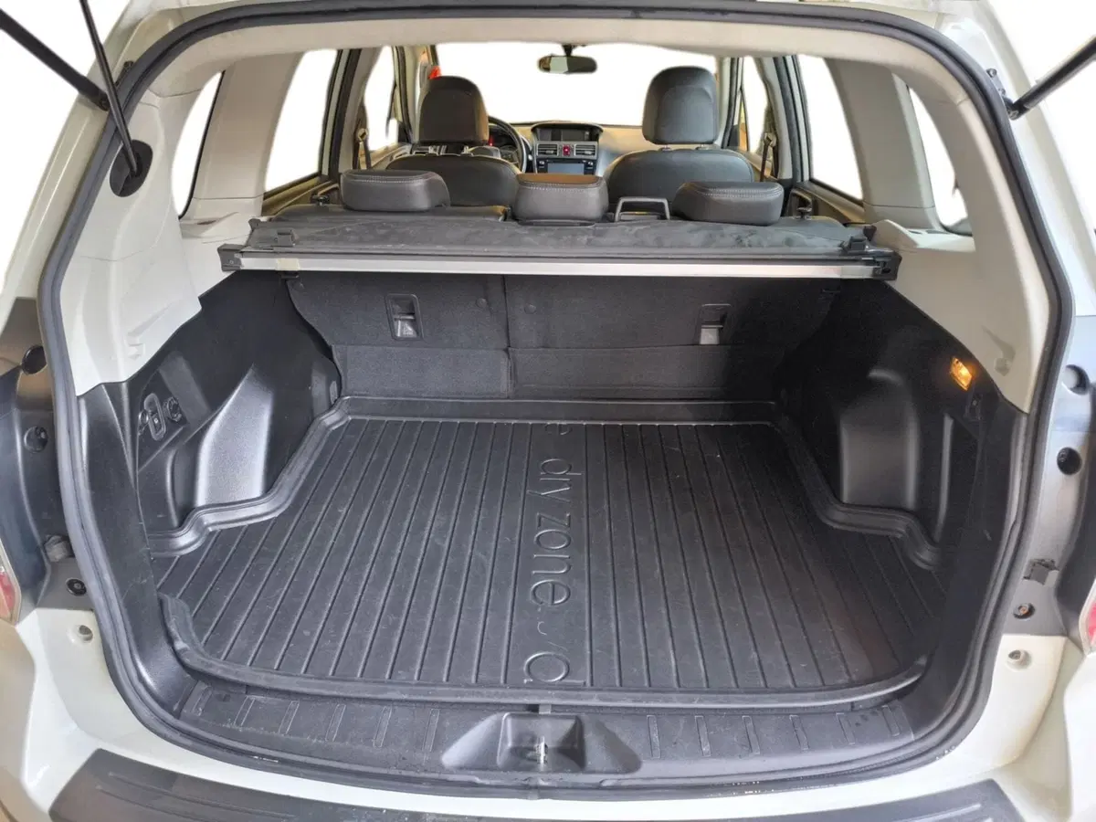 Subaru Forester usata a Udine (15)