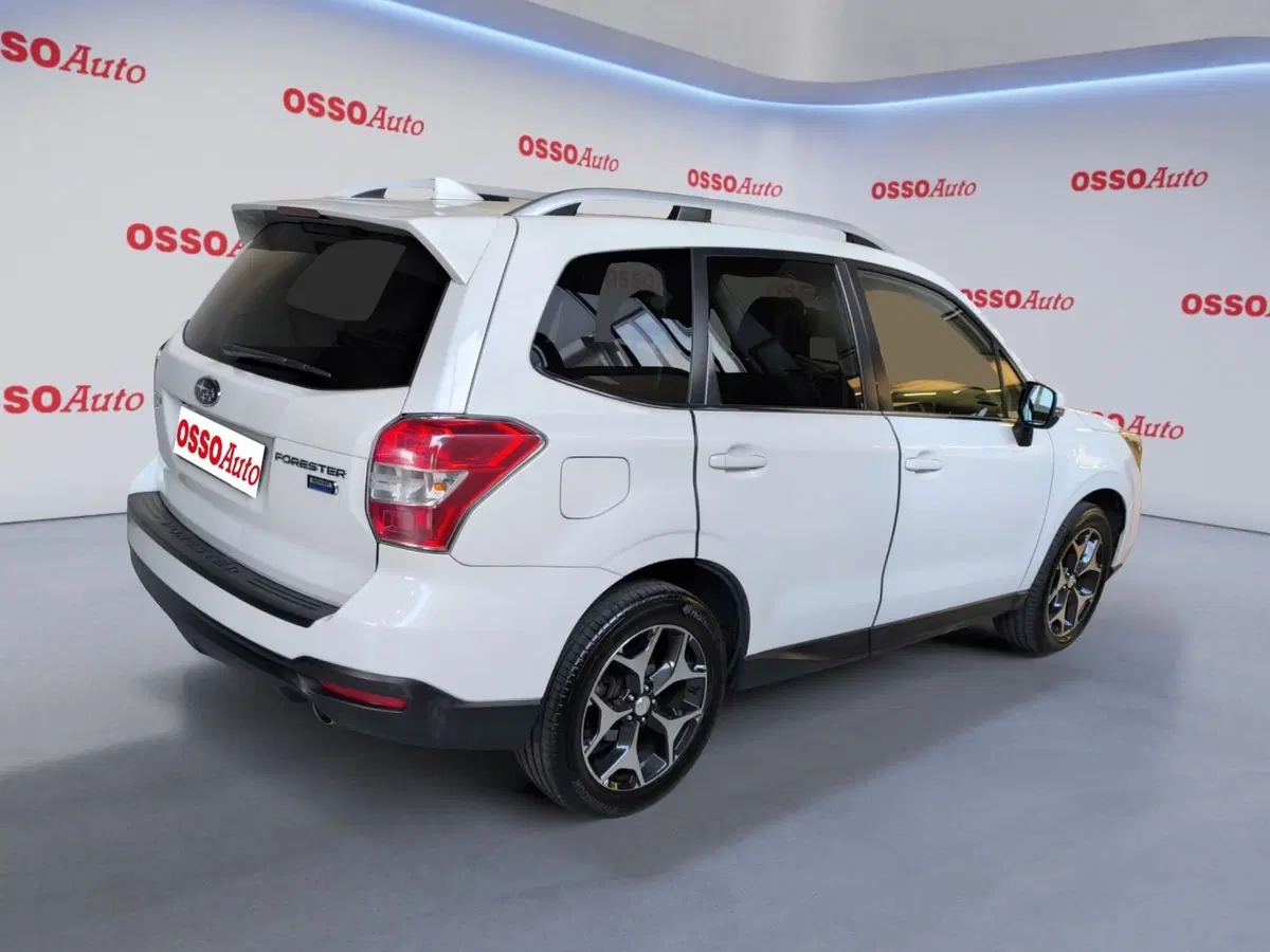 Subaru Forester usata a Udine (3)