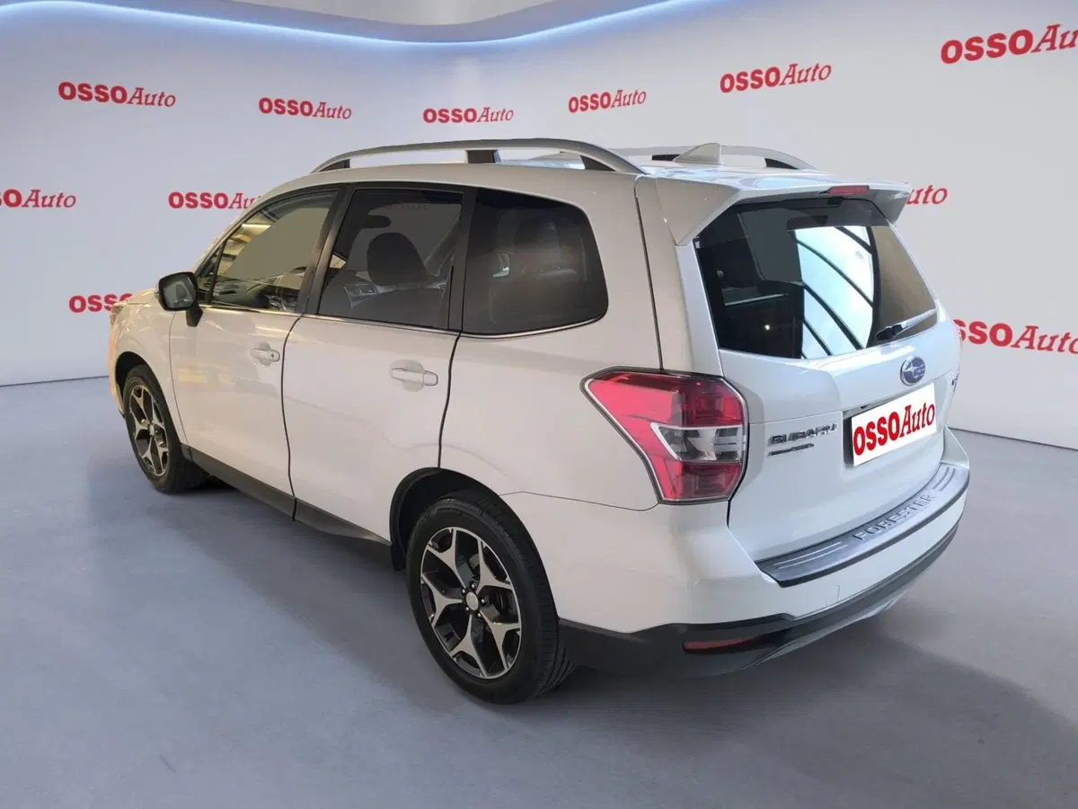 Subaru Forester usata a Udine (4)