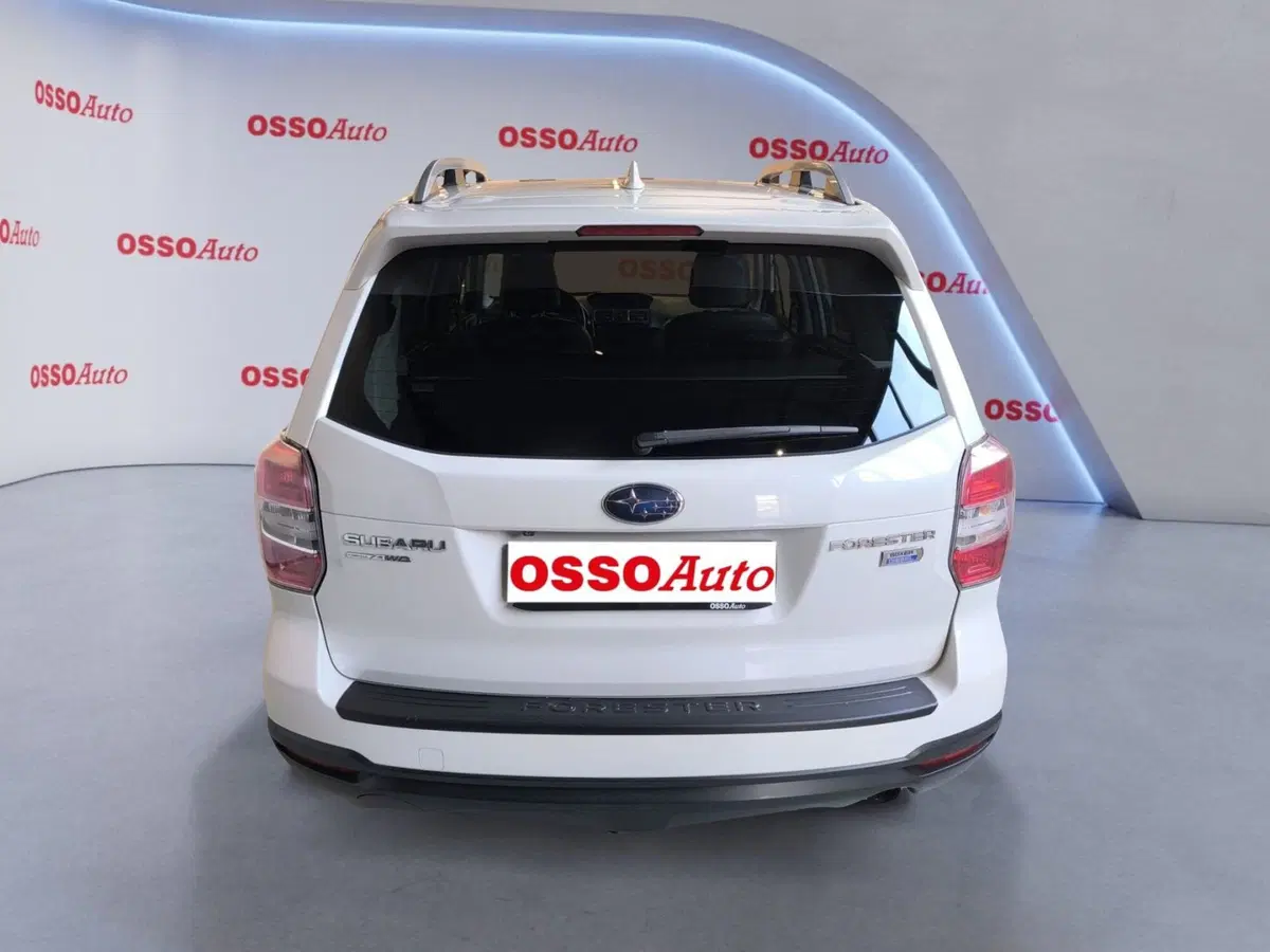 Subaru Forester usata a Udine (6)