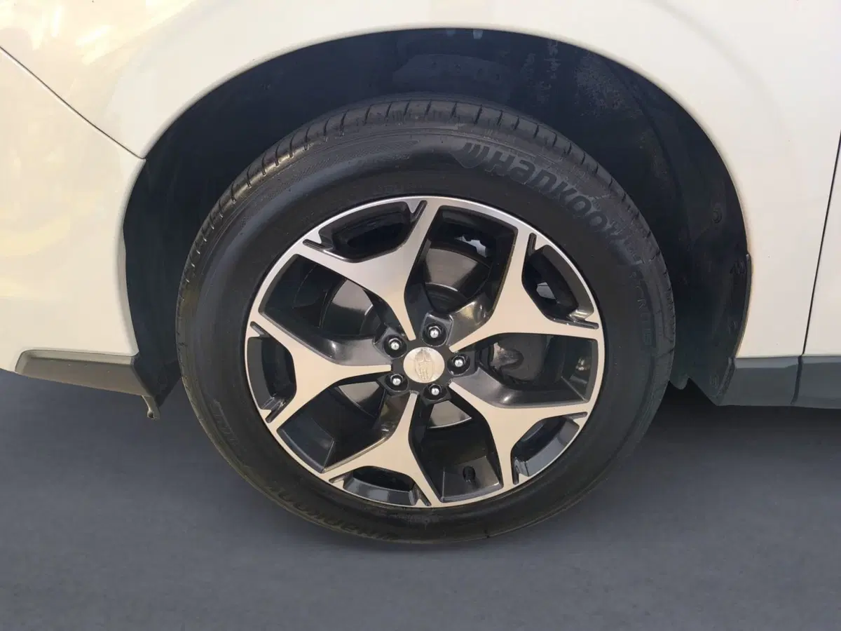Subaru Forester usata a Udine (7)
