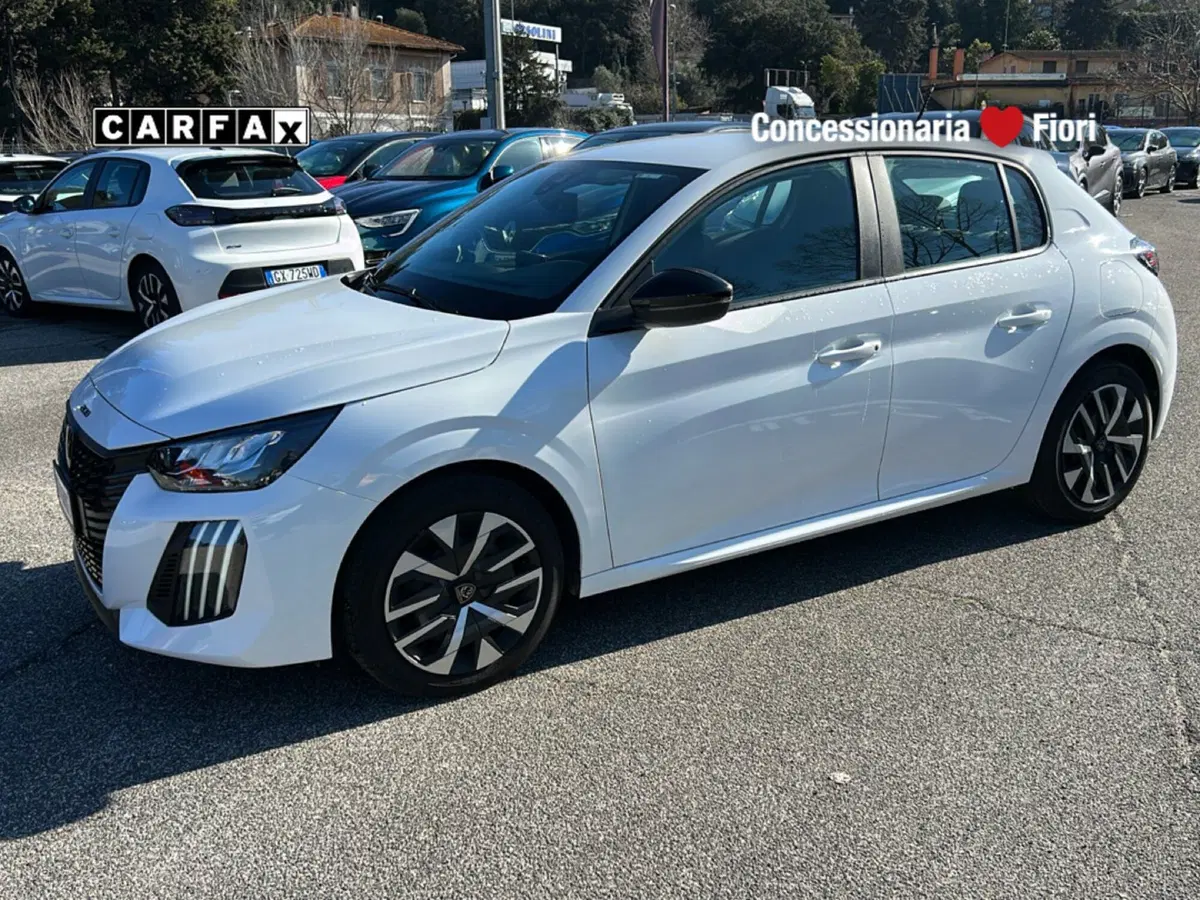 Peugeot 208 usata a Roma (8)