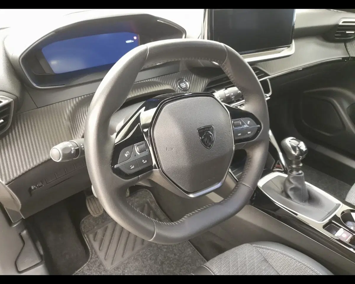 Peugeot 2008 usata a Alessandria (9)
