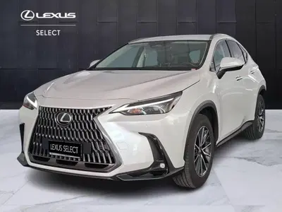 Lexus NX Hybrid 4WD Premium del 2023 usata a Torino