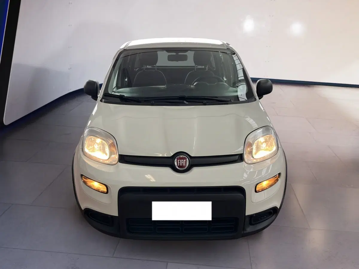 Fiat Panda Cross usata a Torino