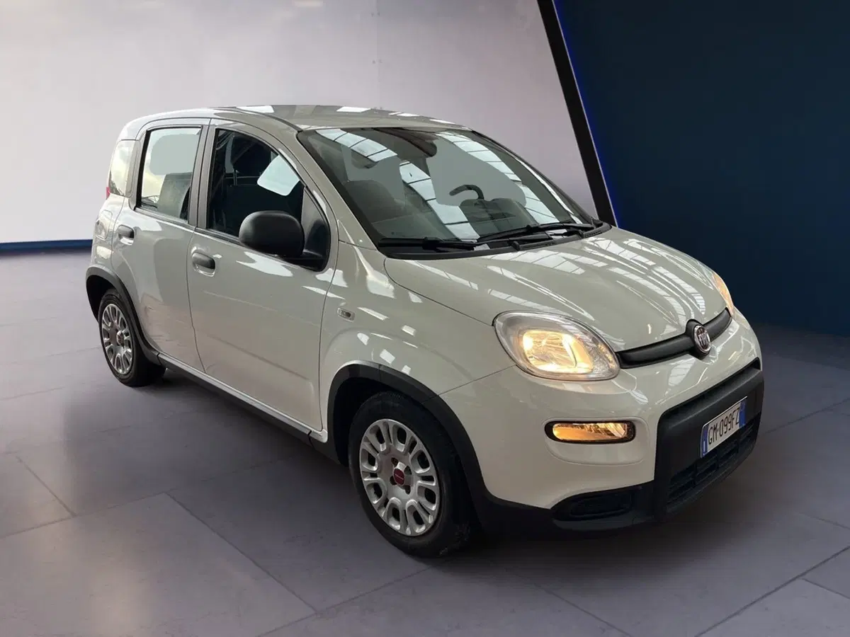 Fiat Panda Cross usata a Torino (2)