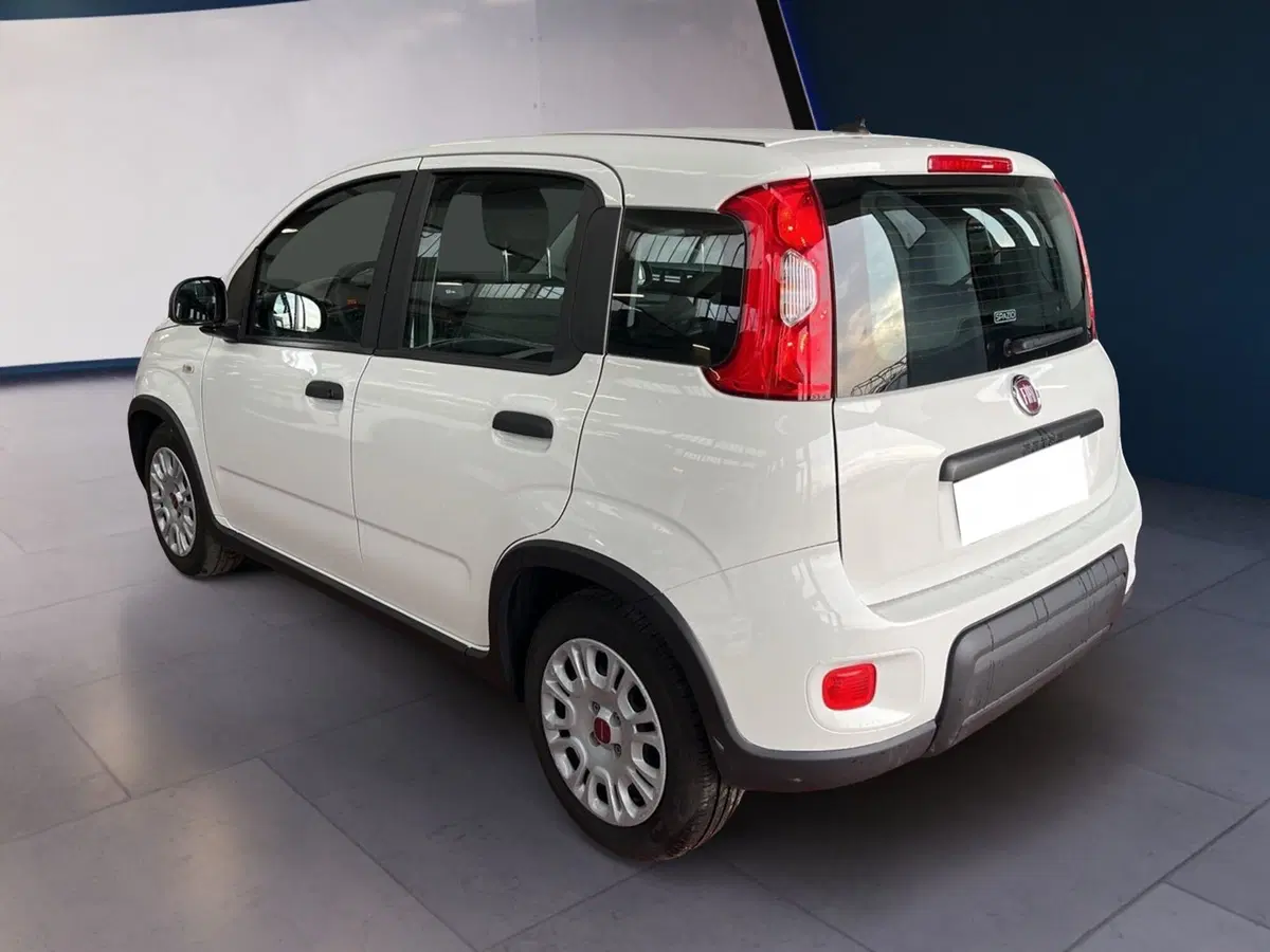 Fiat Panda Cross usata a Torino (4)