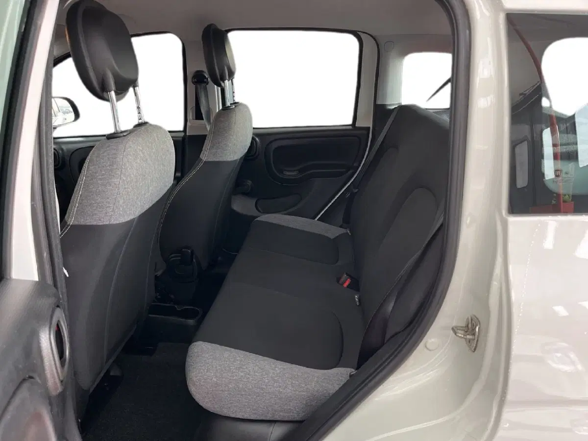 Fiat Panda Cross usata a Torino (8)