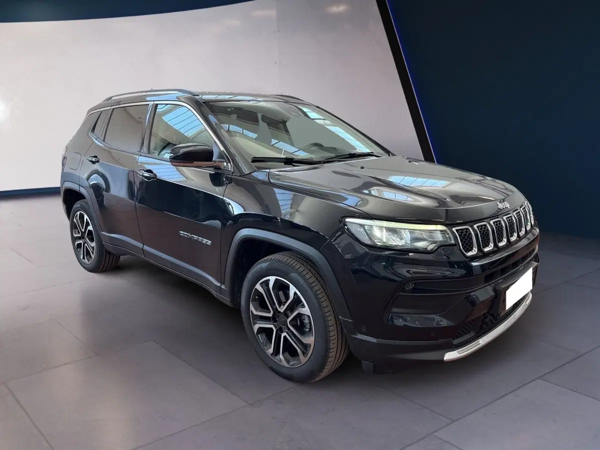 Jeep Compass usata a Torino (2)