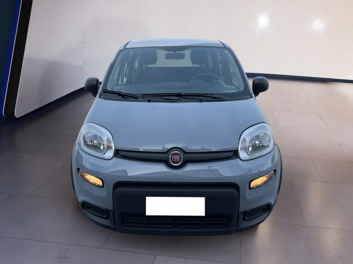Fiat Panda Cross usata a Torino