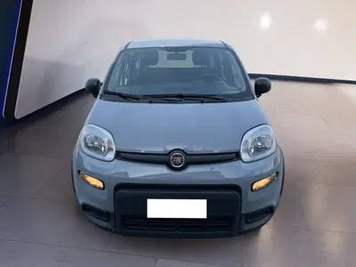 Fiat Panda Cross Cross 1.0 FireFly S&amp;S Hybrid del 2023 usata a Torino