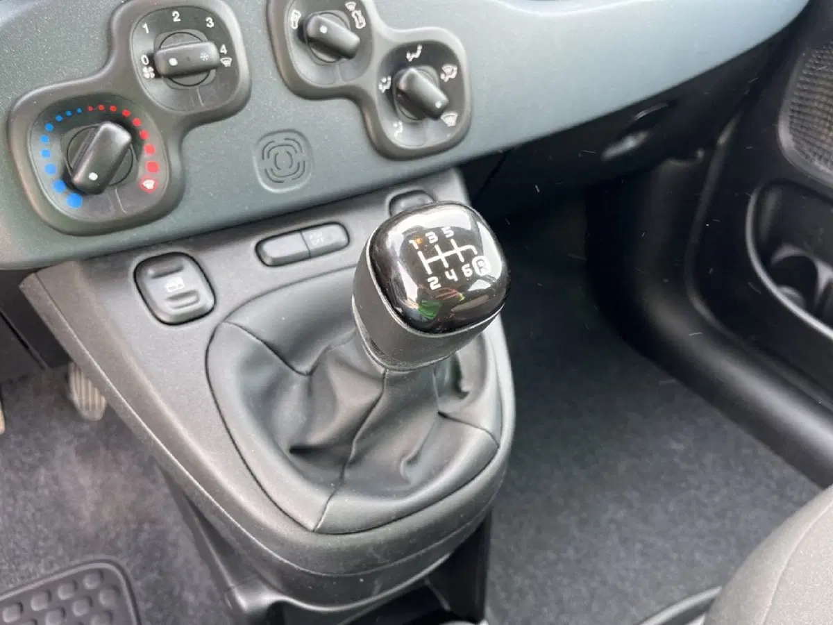 Fiat Panda Cross usata a Torino (12)