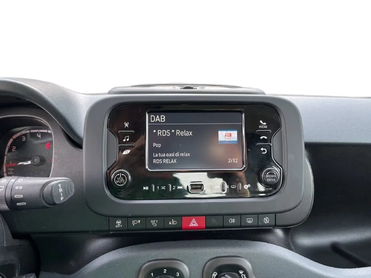 Fiat Panda Cross usata a Torino (13)