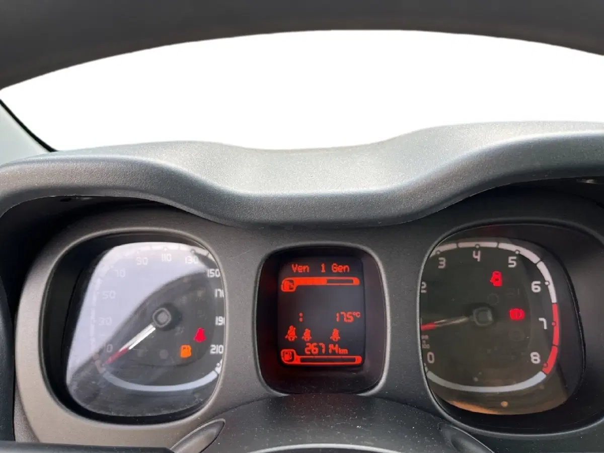 Fiat Panda Cross usata a Torino (14)