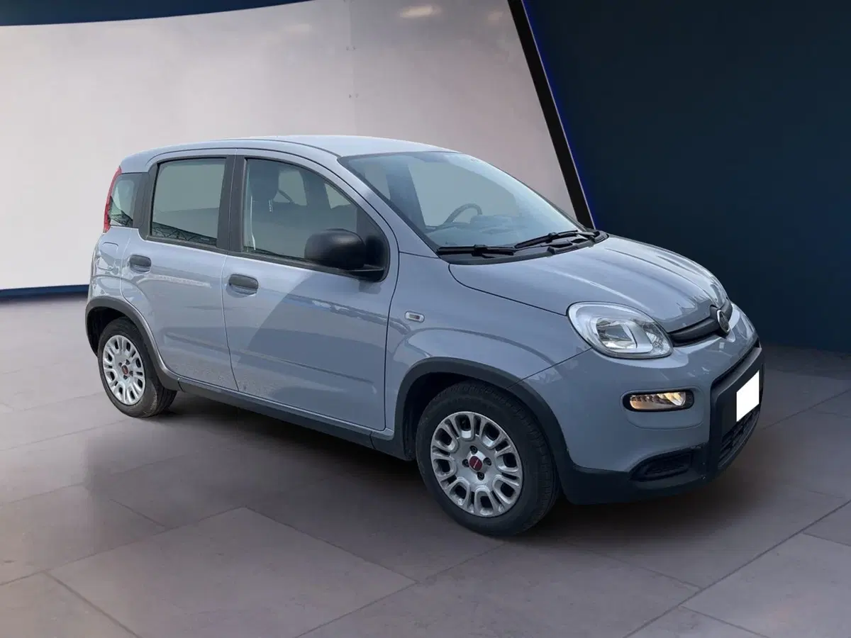 Fiat Panda Cross usata a Torino (2)