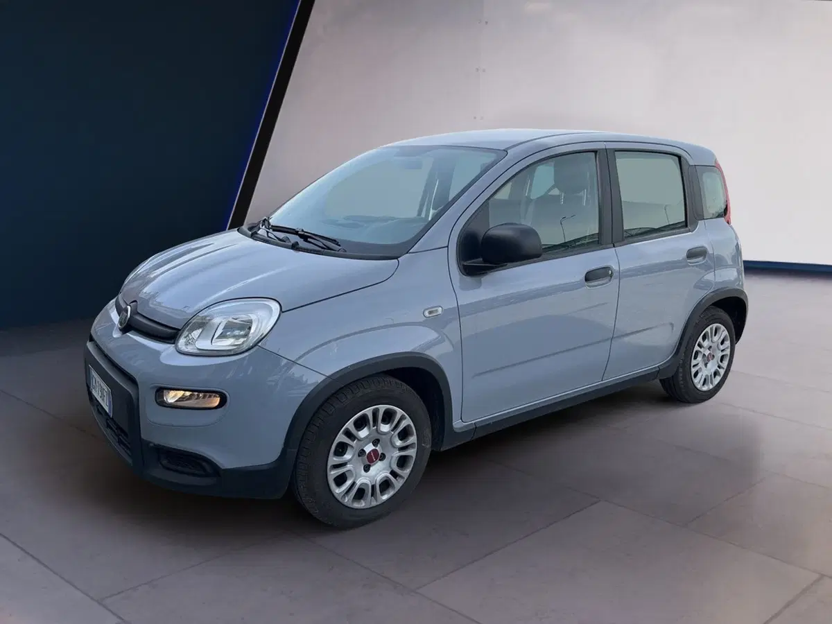 Fiat Panda Cross usata a Torino (3)