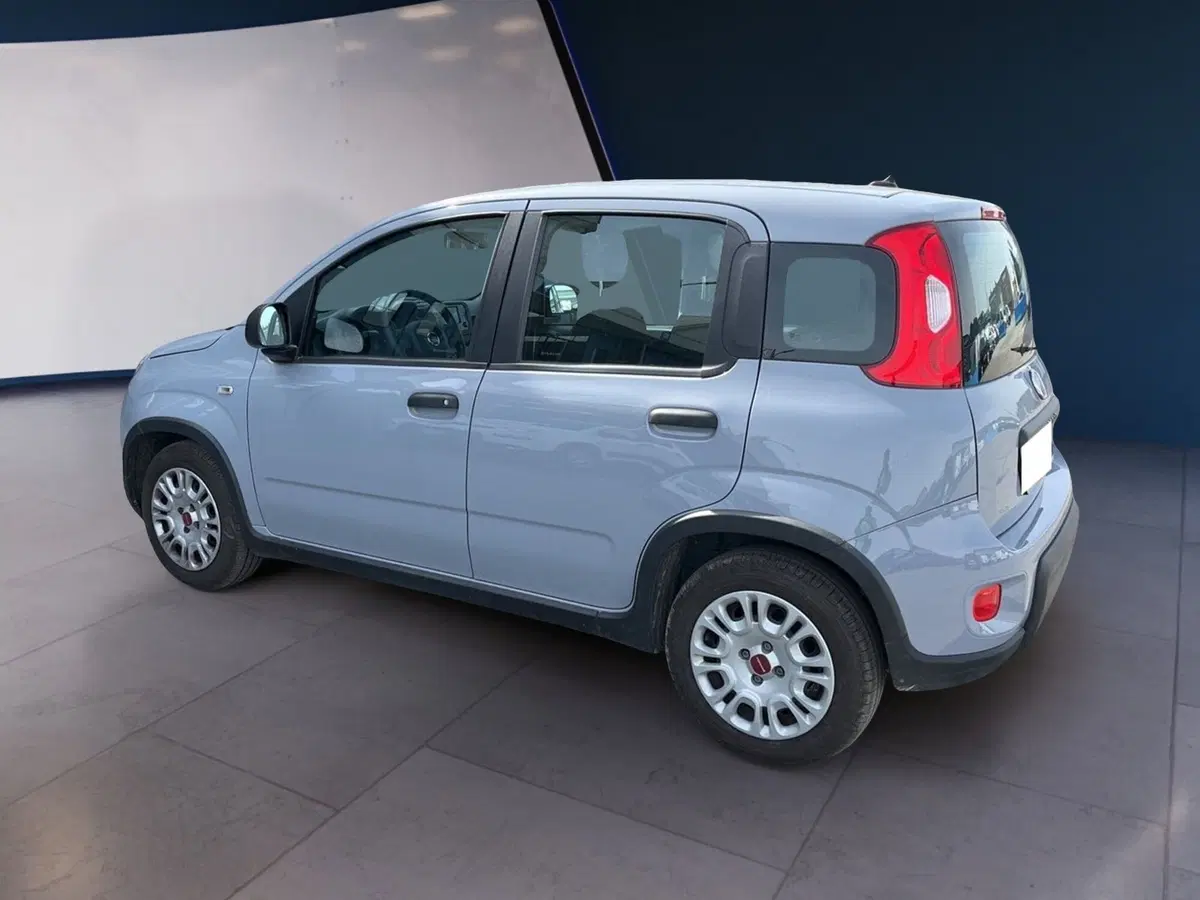 Fiat Panda Cross usata a Torino (4)