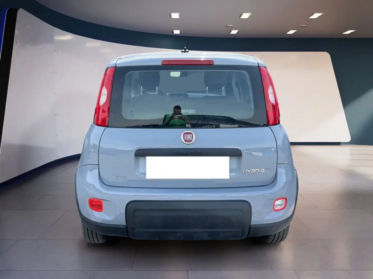 Fiat Panda Cross usata a Torino (5)
