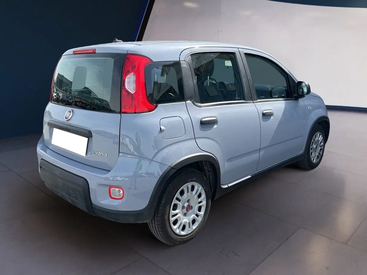 Fiat Panda Cross usata a Torino (6)