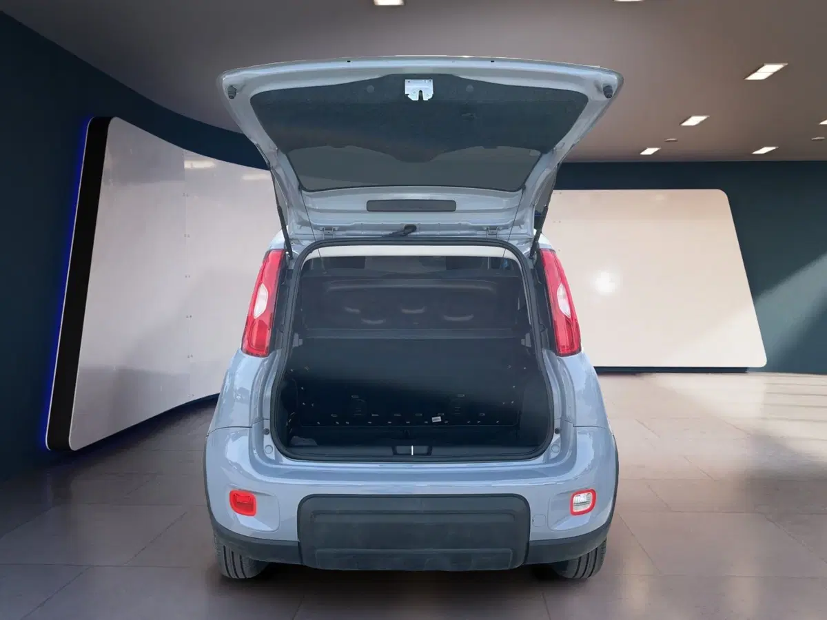 Fiat Panda Cross usata a Torino (7)