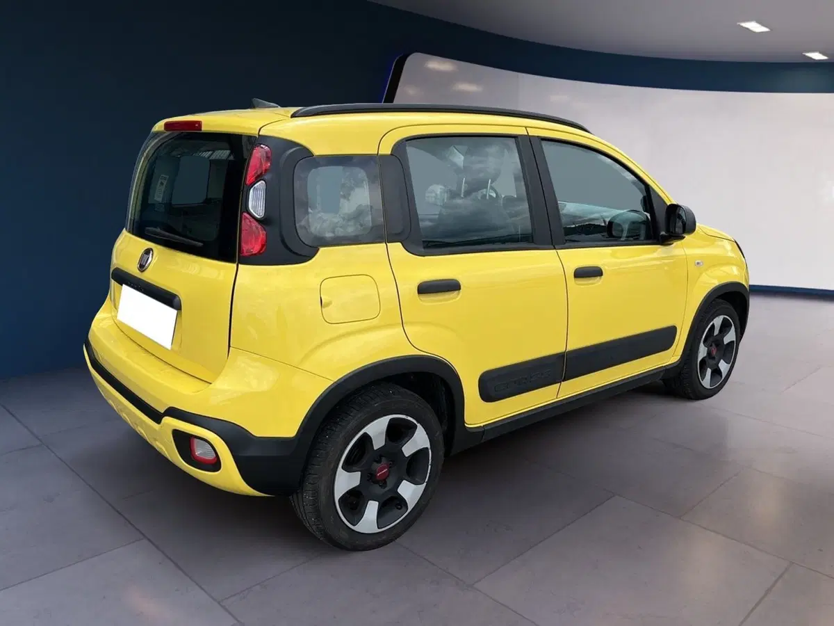 Fiat Panda usata a Torino (6)