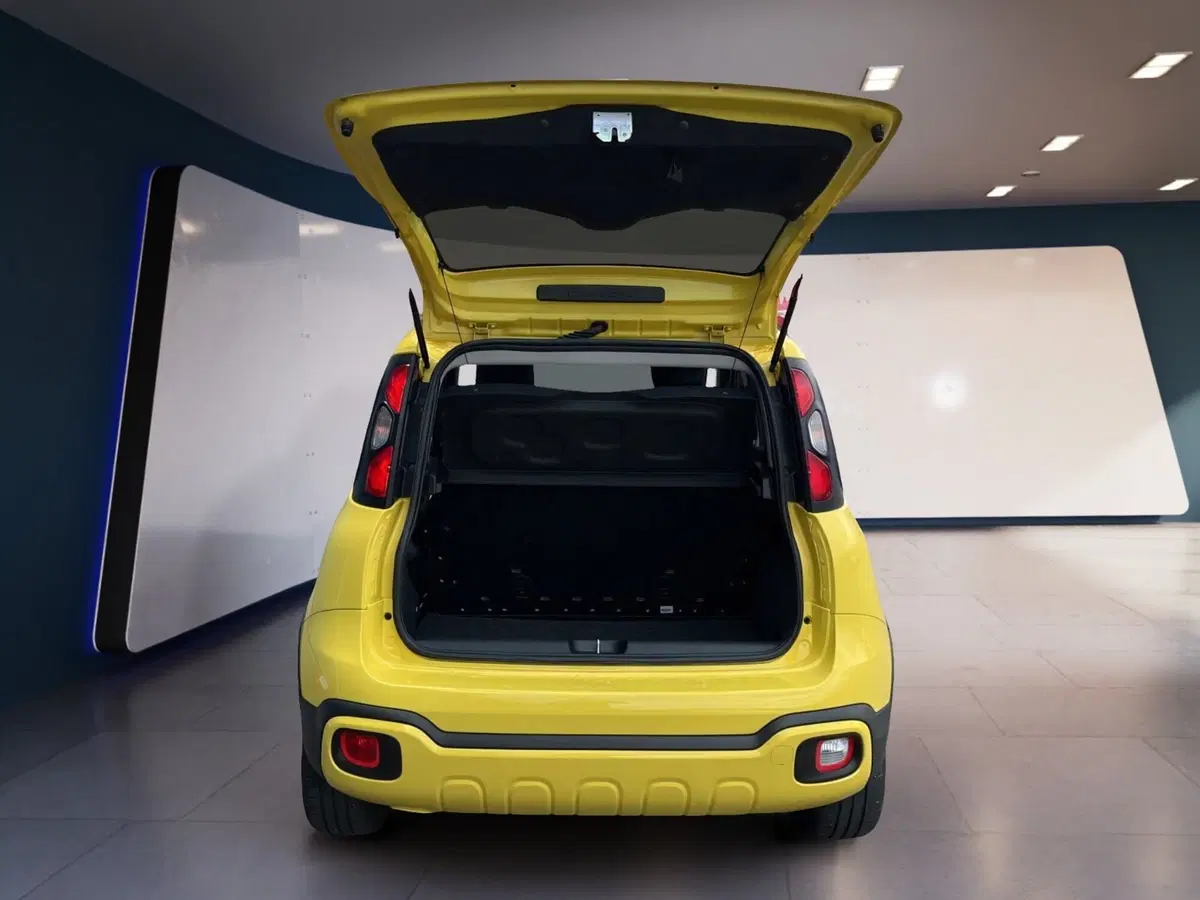 Fiat Panda usata a Torino (7)