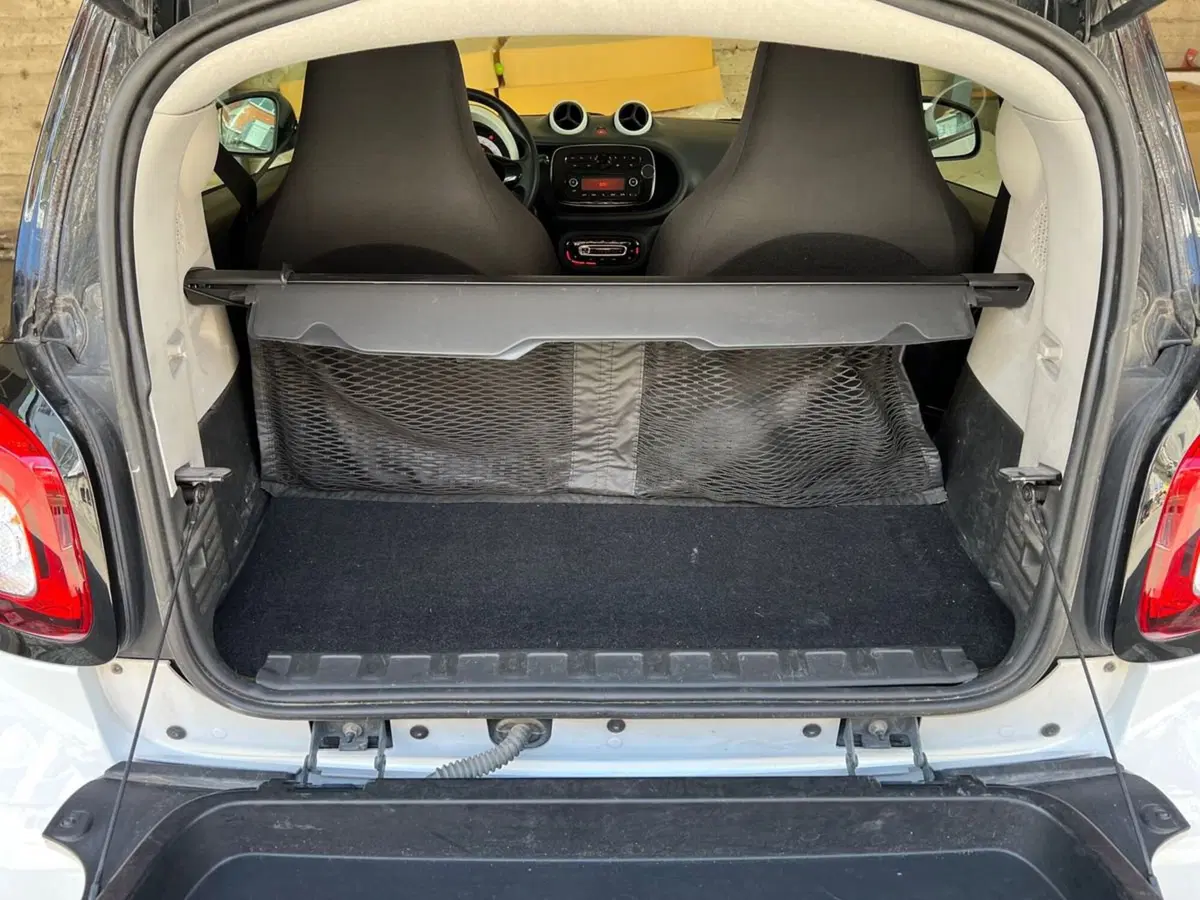 smart Fortwo usata a Arezzo (15)