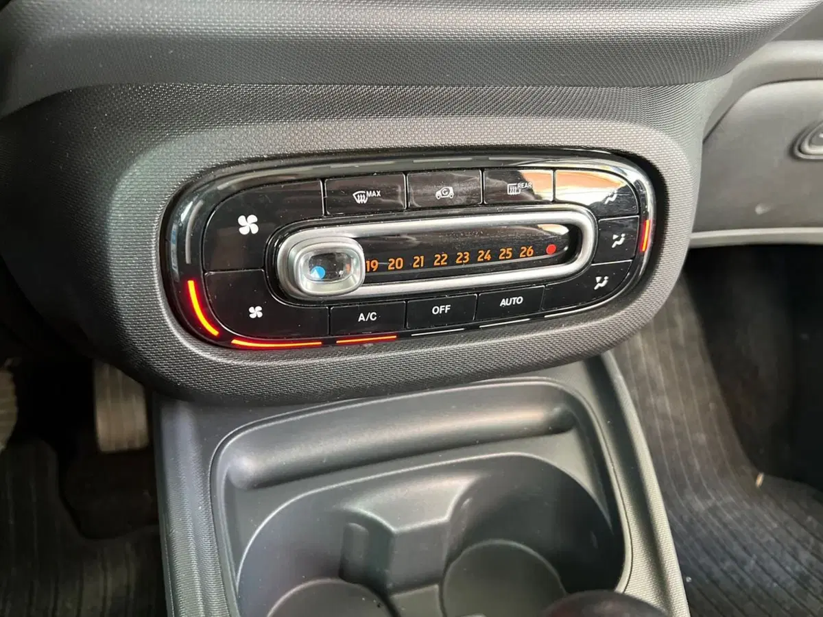 smart Fortwo usata a Arezzo (19)