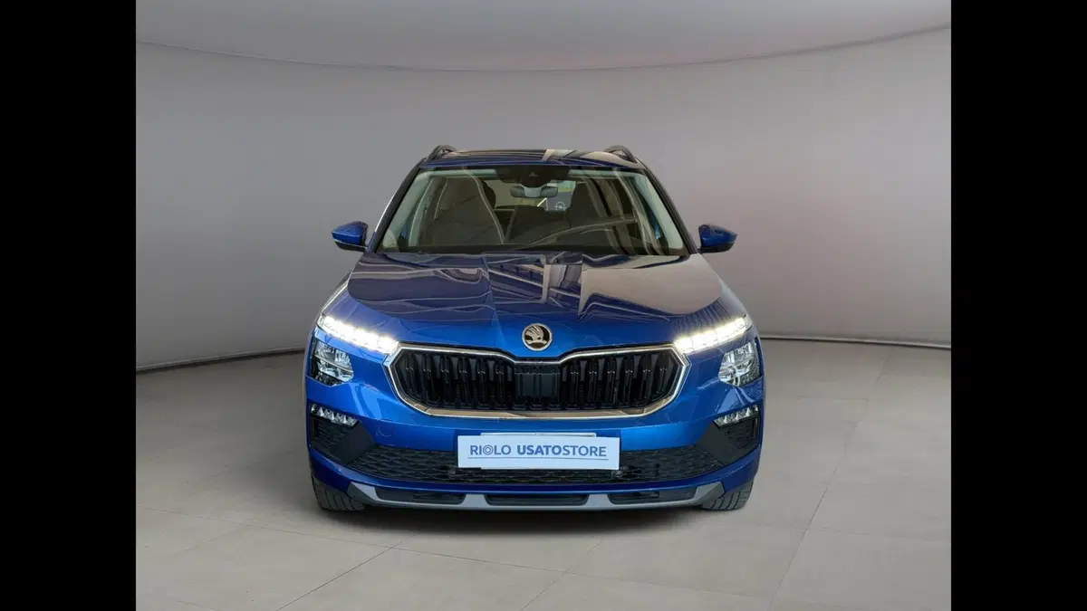 Skoda Kamiq usata a Palermo (2)