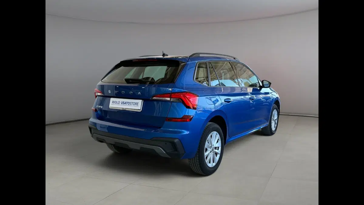Skoda Kamiq usata a Palermo (4)