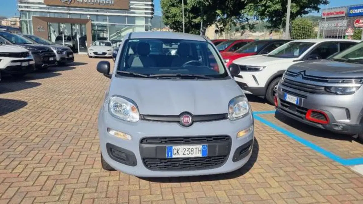 Fiat Panda usata a Savona