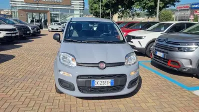Fiat Panda 1.0 firefly hybrid s&amp;s 70cv 5p.ti del 2022 usata a Savona