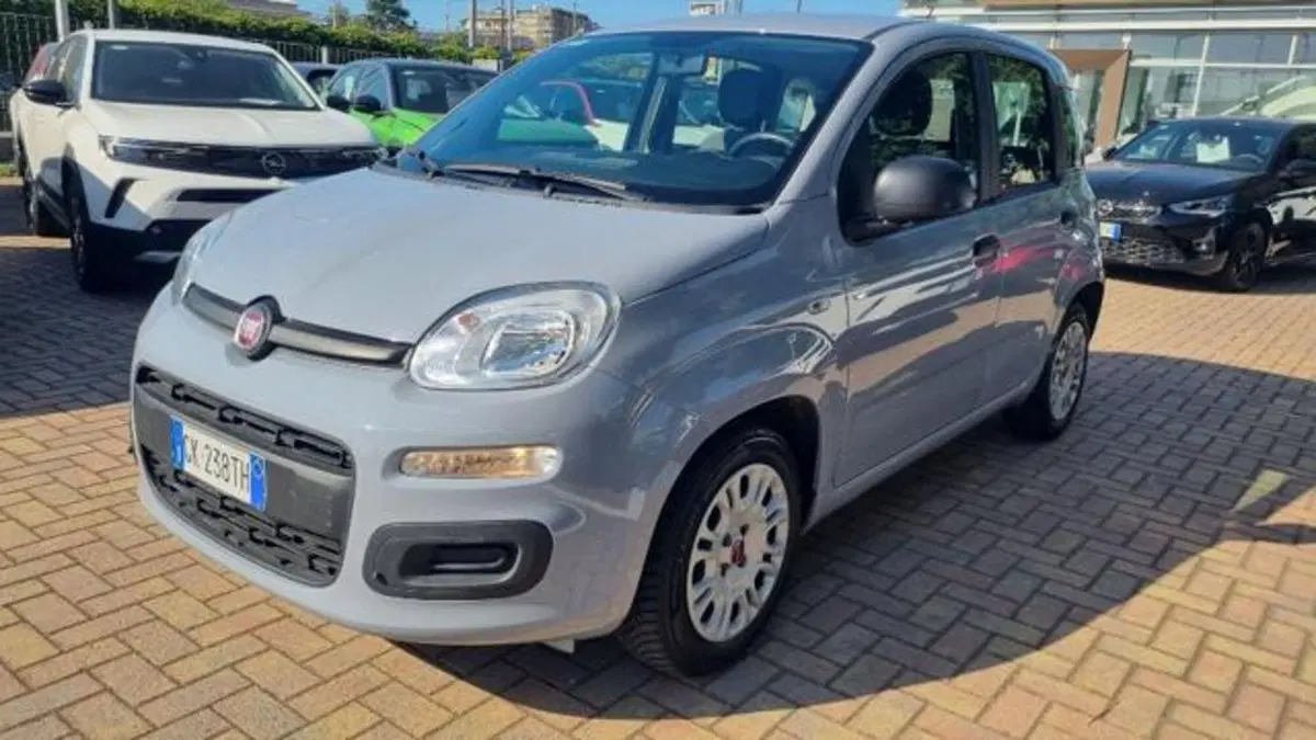 Fiat Panda usata a Savona (13)